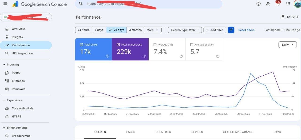 Private brand SEO performance with clicks and impressions over 28 days